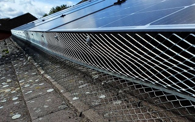 zashtita od ptici i glodari